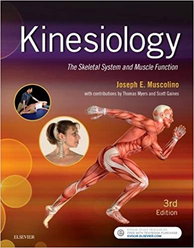 (eBook PDF)Kinesiology - The Skeletal System and Muscle Function 3rd Edition by Joseph E. Muscolino DC 