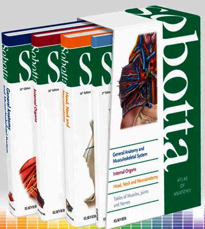 (eBook PDF)Sobotta Atlas of Anatomy, English/Latin, 16th Edition, 4 Volume Set by Jens Waschke (author) Friedrich Paulsen (author) 