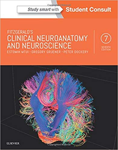 (eBook PDF)Fitzgerald s Clinical Neuroanatomy and Neuroscience 7th by Estomih Mtui MD,Gregory Gruener MD MBA
