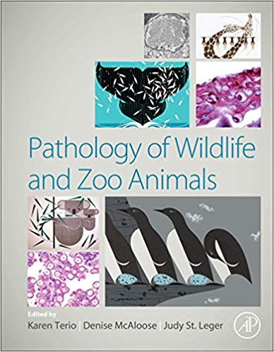 (eBook PDF)Pathology of Wildlife and Zoo Animals by Karen A. Terio , Denise McAloose , Judy St. Leger 