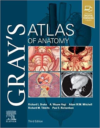 (eBook PDF)Grays Atlas of Anatomy (Grays Anatomy) 3rd Edition by Richard Drake PhD FAAA , A. Wayne Vogl PhD FAAA 