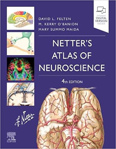 (eBook PDF)Netter s Atlas of Neuroscience E-Book 4th Edition PDF+EPUB by David L. Felten MD PhD , Michael K O'Banion M.D. Ph.D. , Mary E Maida Ph.D. 