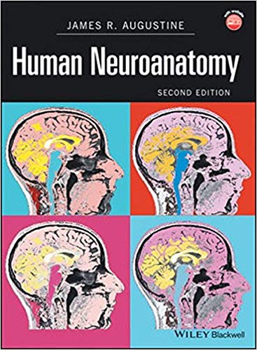 (eBook PDF)Human Neuroanatomy, 2nd Edition  by James R. Augustine 