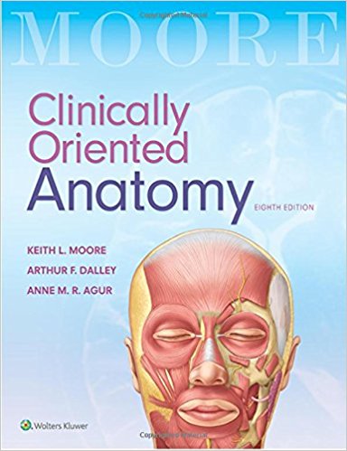 (eBook PDF)Clinically Oriented Anatomy, 8th Edition by Keith L. Moore MSc PhD Hon. DSc FIAC , Arthur F. Dalley II PhD FAAA , Anne M. R. Agur BSc (OT) MSc PhD 