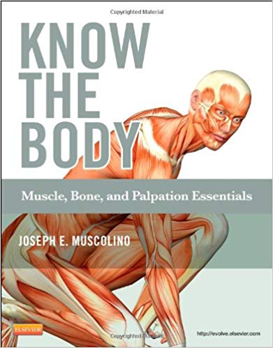 (eBook PDF)Know the Body - Muscle, Bone, and Palpation Essentials by Joseph E. Muscolino DC 