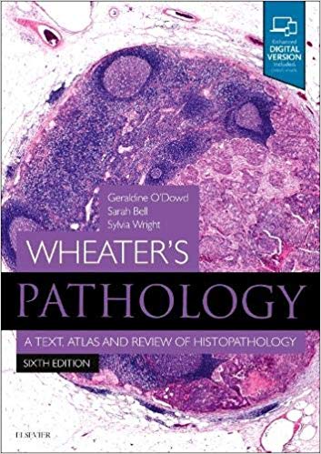 (eBook PDF)Wheater's Pathology: A Text, Atlas and Review of Histopathology (Wheater's Histology and Pathology) 6th Edition by Geraldine O'Dowd BSc (Hons) MBChB (Hons) FRCPath , Sarah Bell 