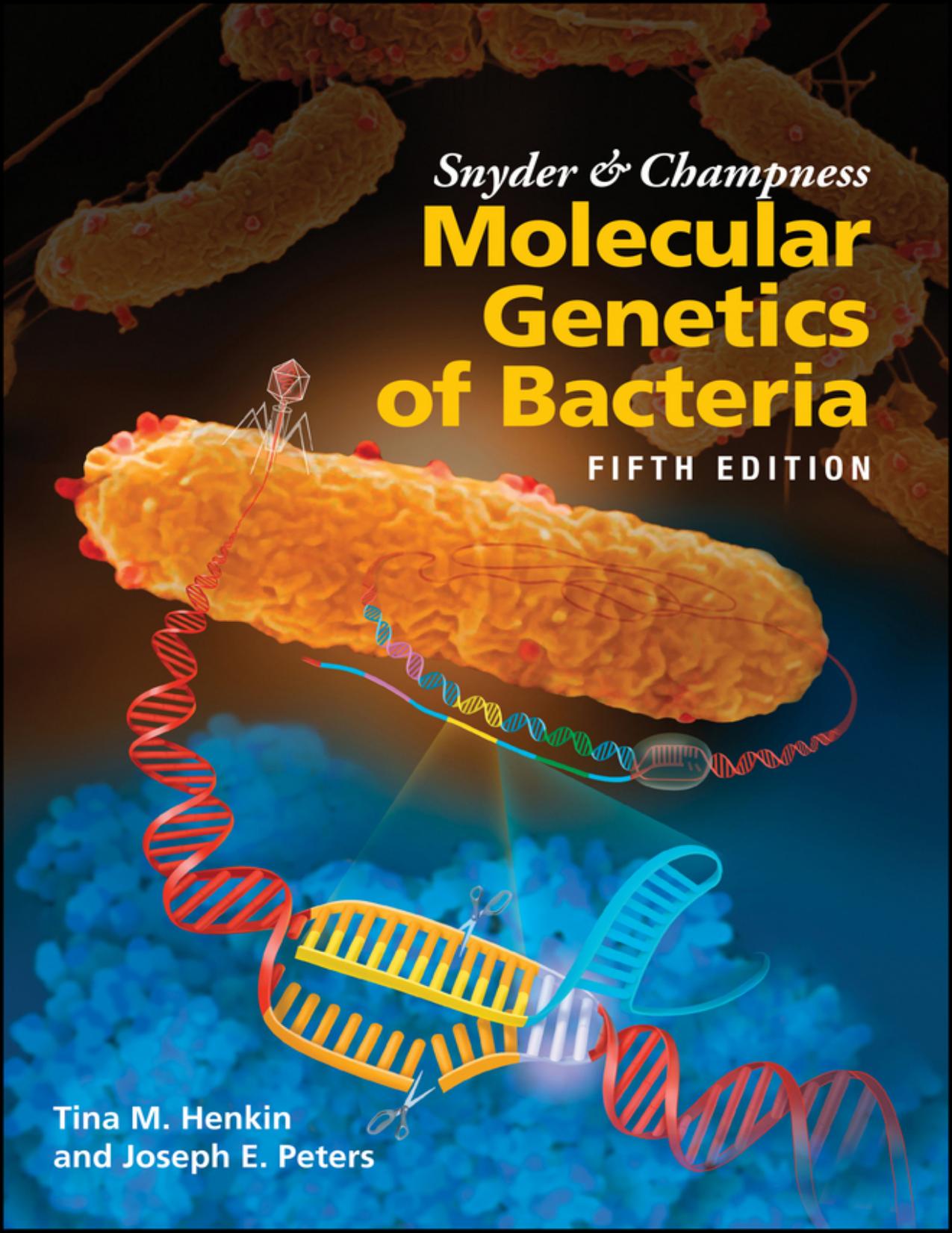 (eBook PDF)Snyder and Champness Molecular Genetics of Bacteria 5th Edition by  Tina M. Henkin, Joseph E. Peters