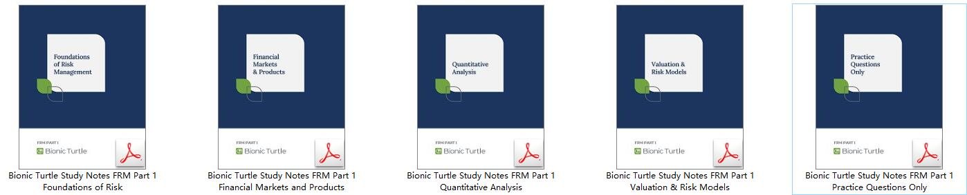 (eBook PDF)Bionic Turtle Study Notes FRM Part 1, 5 Books Set 2023