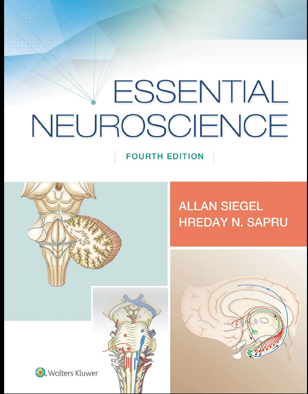 (eBook PDF)Essential Neuroscience Fourth Edition