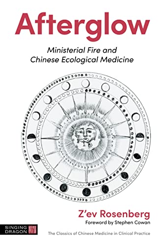 Afterglow: Ministerial Fire and Chinese Ecological Medicine (EPUB) by Z＆＃39;ev Rosenberg 