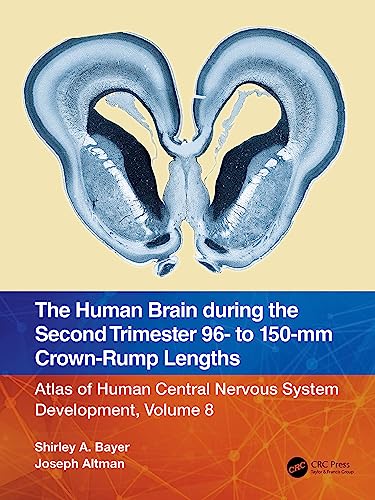 The Human Brain during the Second Trimester 96＆ndash; to 150＆ndash;mm Crown-Rump Lengths: Atlas of Human Central Nervous System Development, Volume 8   by Shirley A. Bayer