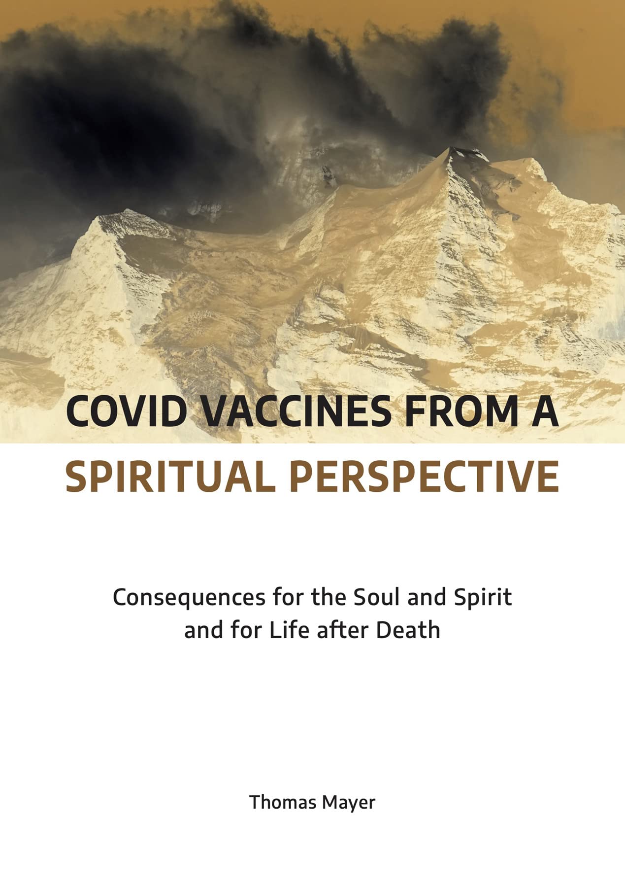 Covid Vaccines from_ a Spiritual Perspective: Consequences for the Soul and Spirit and for Life after Death  by  Thomas Mayer