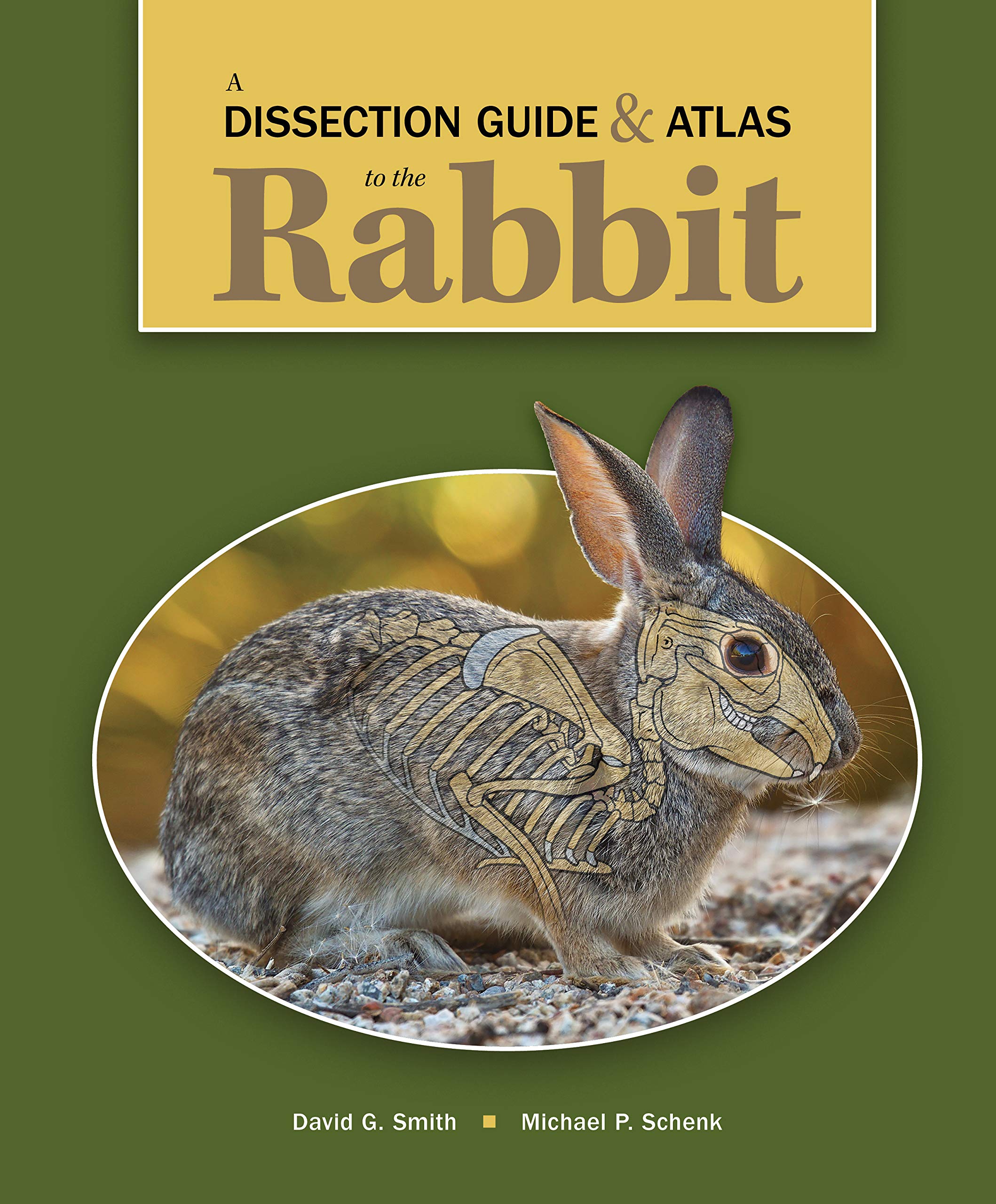 A Dissection Guide ＆amp; Atlas to the Rabbit by David G. Smith 