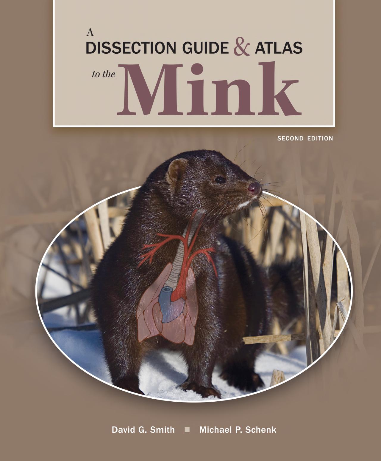 A Dissection Guide ＆amp; Atlas to the Mink, 2nd Edition by David G. Smith 