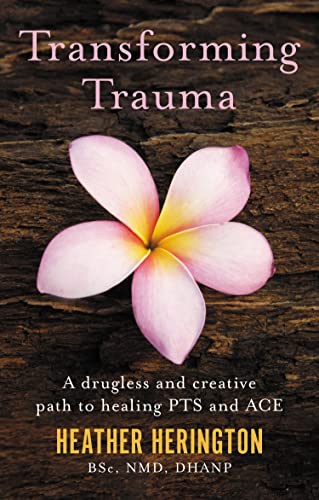 Transforming Trauma: A Drugless and Creative Path to Healing PTS and ACE by Heather Herington 