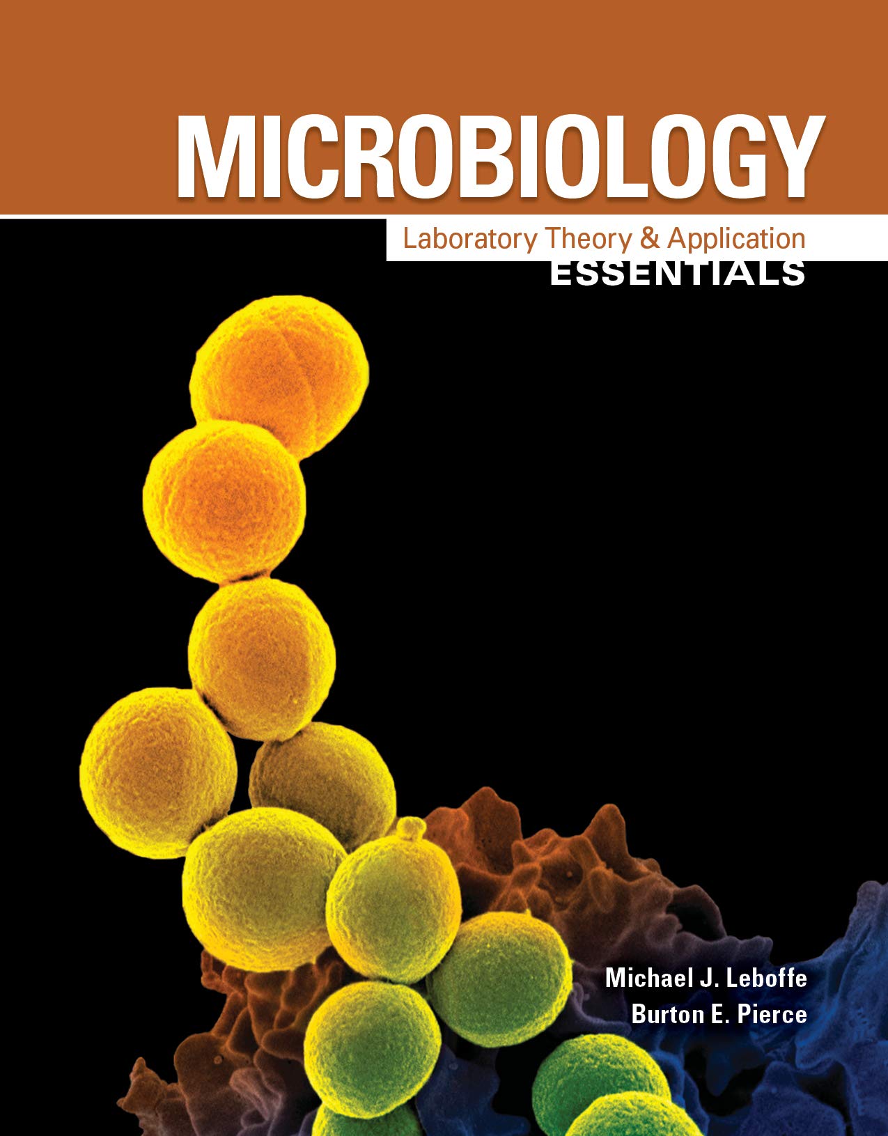 Microbiology: Laboratory Theory ＆amp; Application, Essentials  by Michael J. LeBoffe 