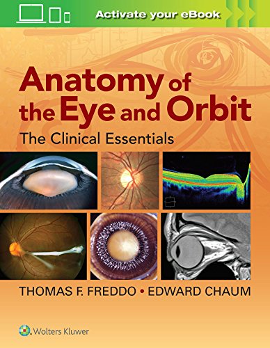 Anatomy of the Eye and Orbit: The Clinical Essentials by  Thomas F Freddo 