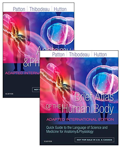 Anatomy and Physiology, Adapted International Edition (Patton)  by Kevin T. Patton