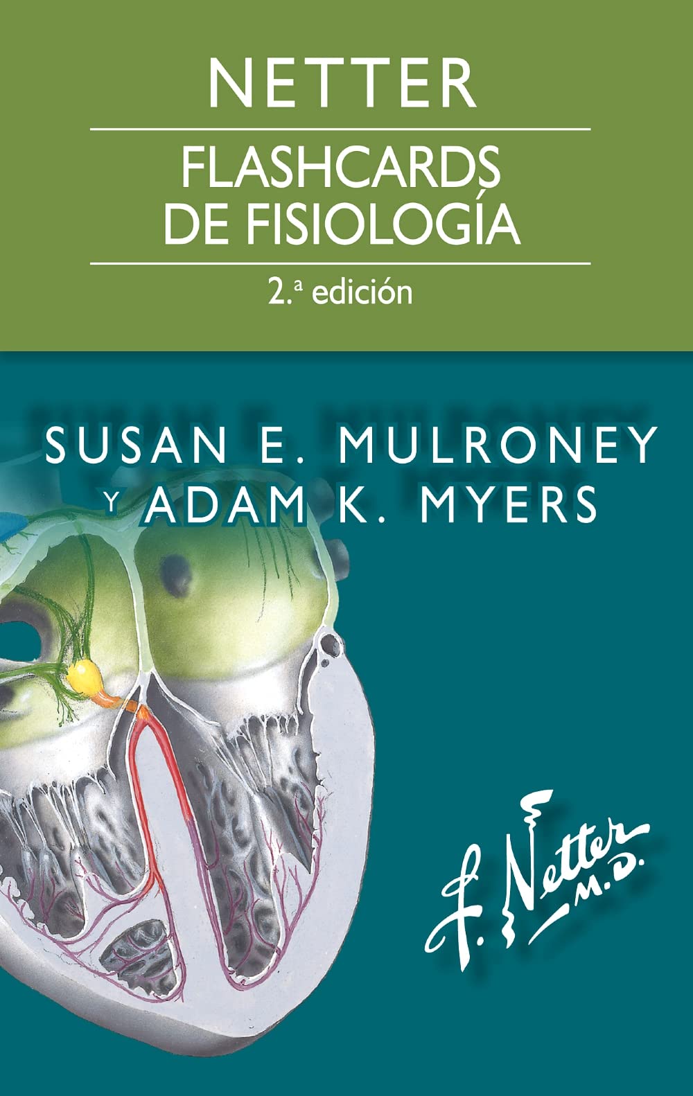 Netter. Flashcards de fisiolog＆iacute;a, 2 Edici＆oacute;n  by  S. E. Mulroney