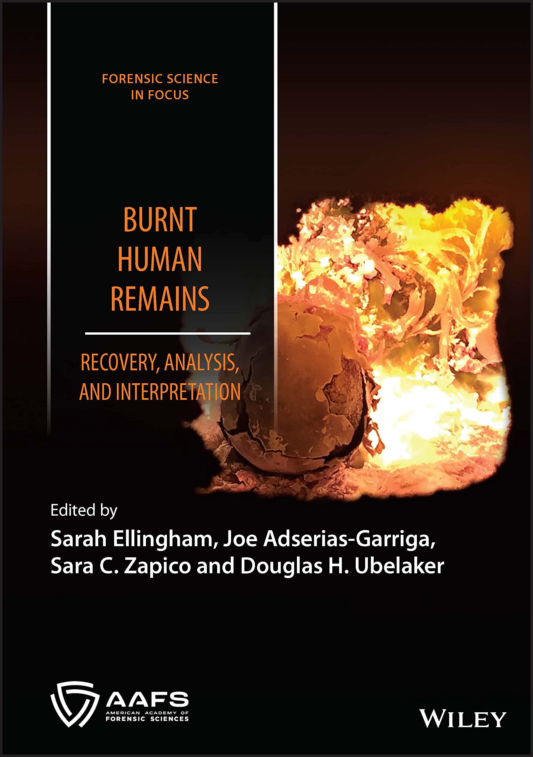 Burnt Human Remains: Recovery, Analysis, and Interpretation (Forensic Science in Focus)  by Sarah Ellingham