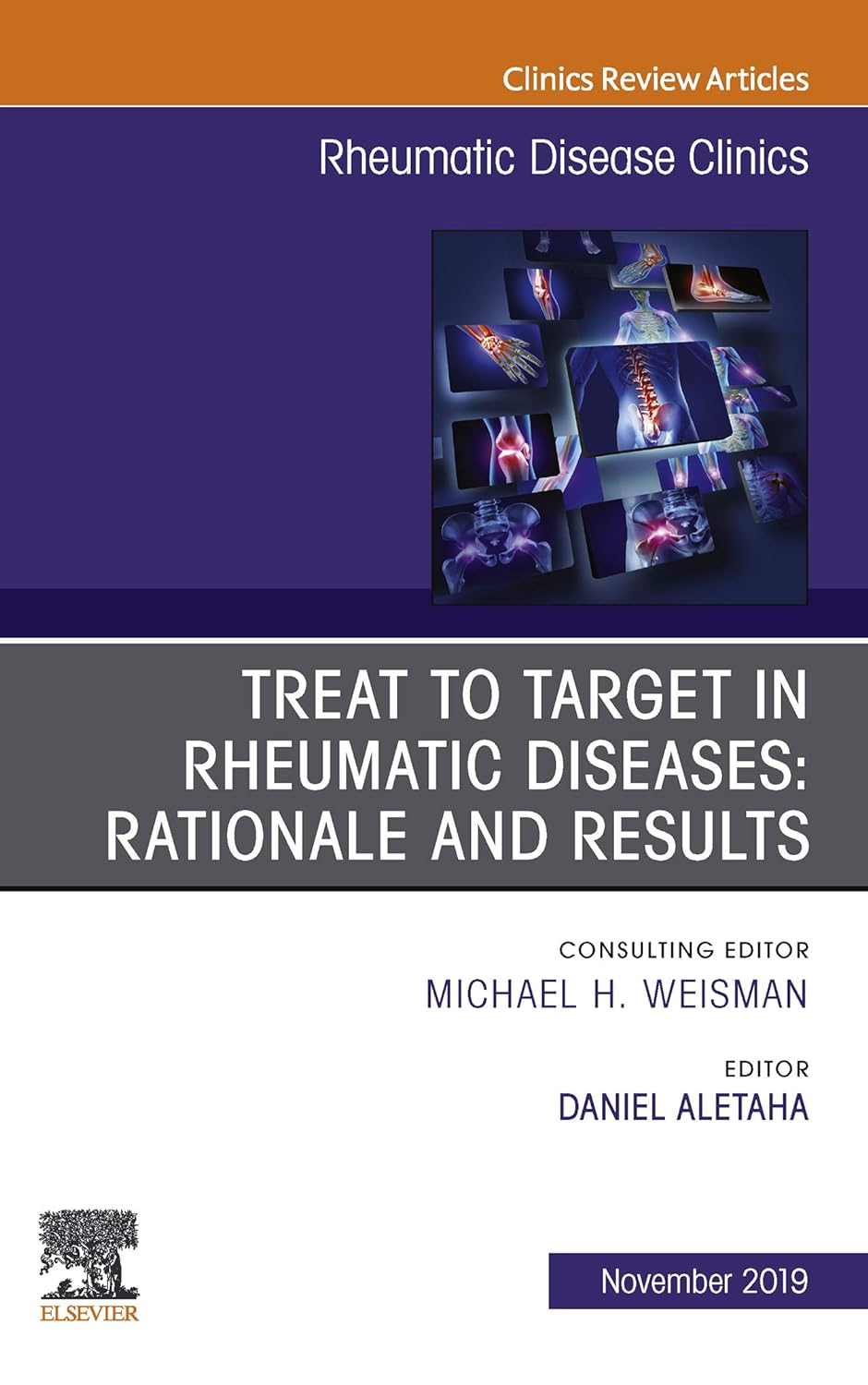 Treat to Target in Rheumatic Diseases: Rationale and Results (Volume 45-4) (The Clinics: Internal Medicine, Volume 45-4)  by  Daniel Aletaha