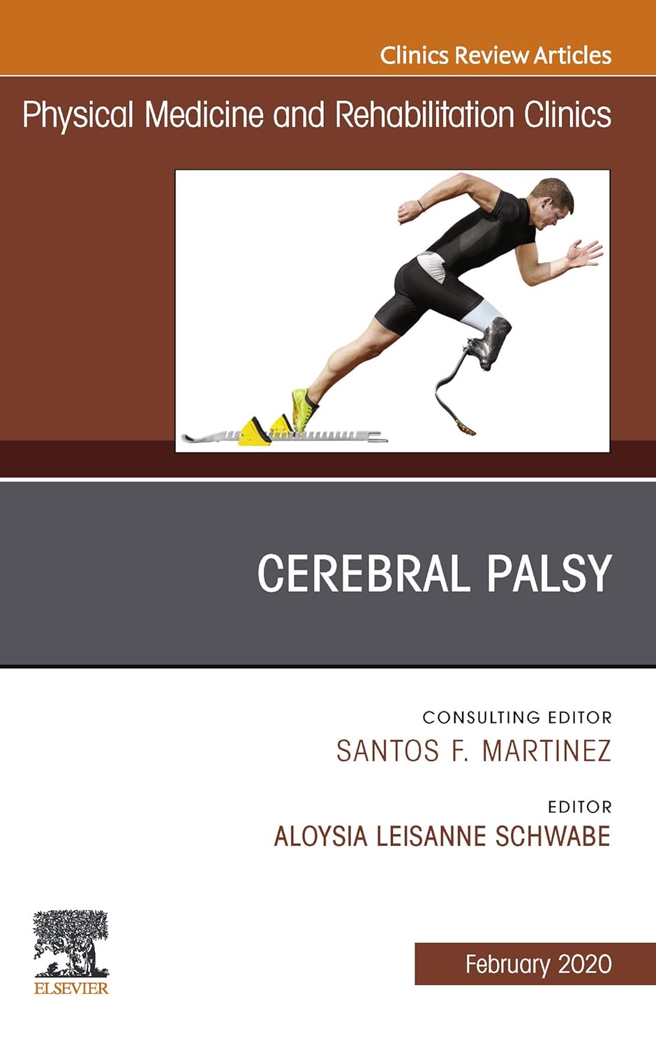 Cerebral Palsy, An Issue of Physical Medicine and Rehabilitation Clinics of North America (Volume 31-1) (The Clinics: Radiology, Volume 31-1)  by Aloysia Schwabe