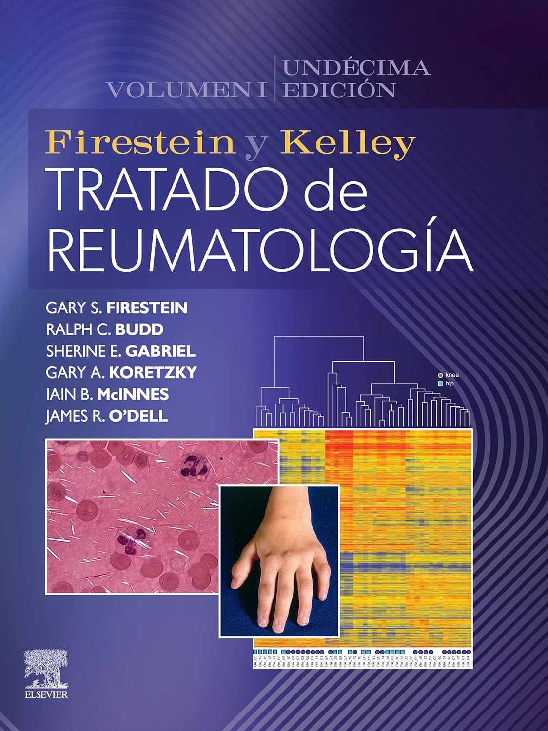 Firestein y Kelley. Tratado de reumatolog＆iacute;a,11 edici＆oacute;n, 2 Volume Set  by Gary S. Firestein 