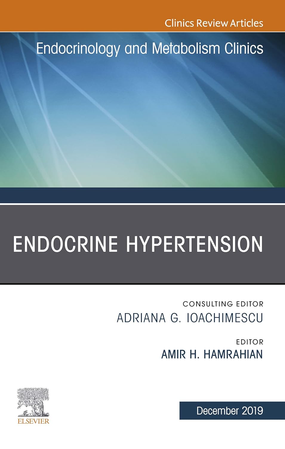 Endocrine Hypertension, An Issue of Endocrinology and Metabolism Clinics (Volume 48-4) (The Clinics: Internal Medicine, Volume 48-4) by  Amir Hekmat Hamrahian 