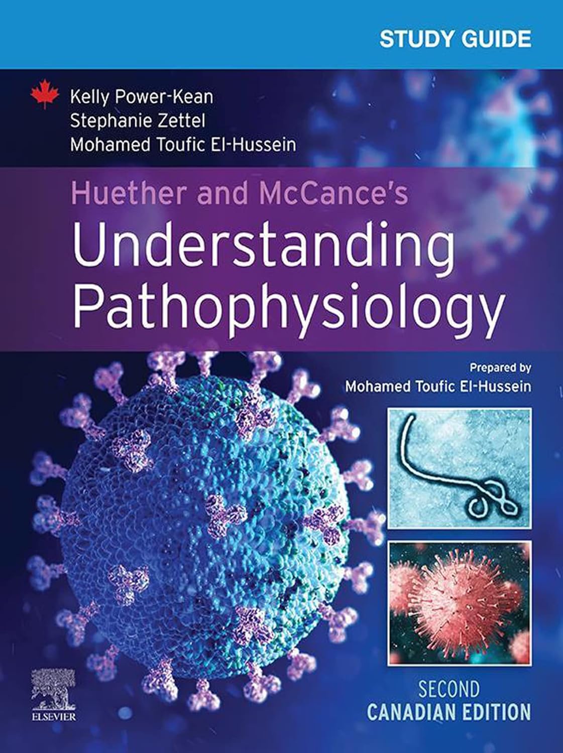 Study Guide for Huether and McCance s Understanding Pathophysiology, 2nd Canadian Edition by  Kelly Power-Kean 