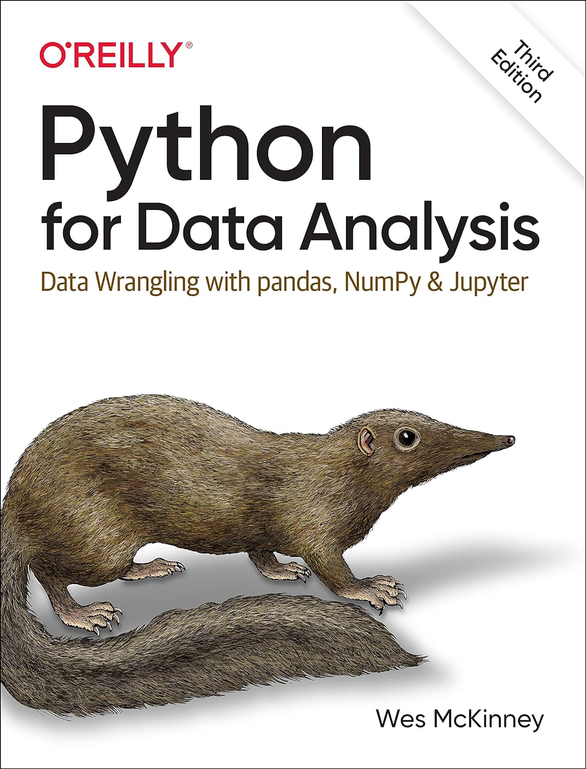 Python for Data Analysis: Data Wrangling with pandas, NumPy, and Jupyter, 3rd Edition by  Wes McKinney 