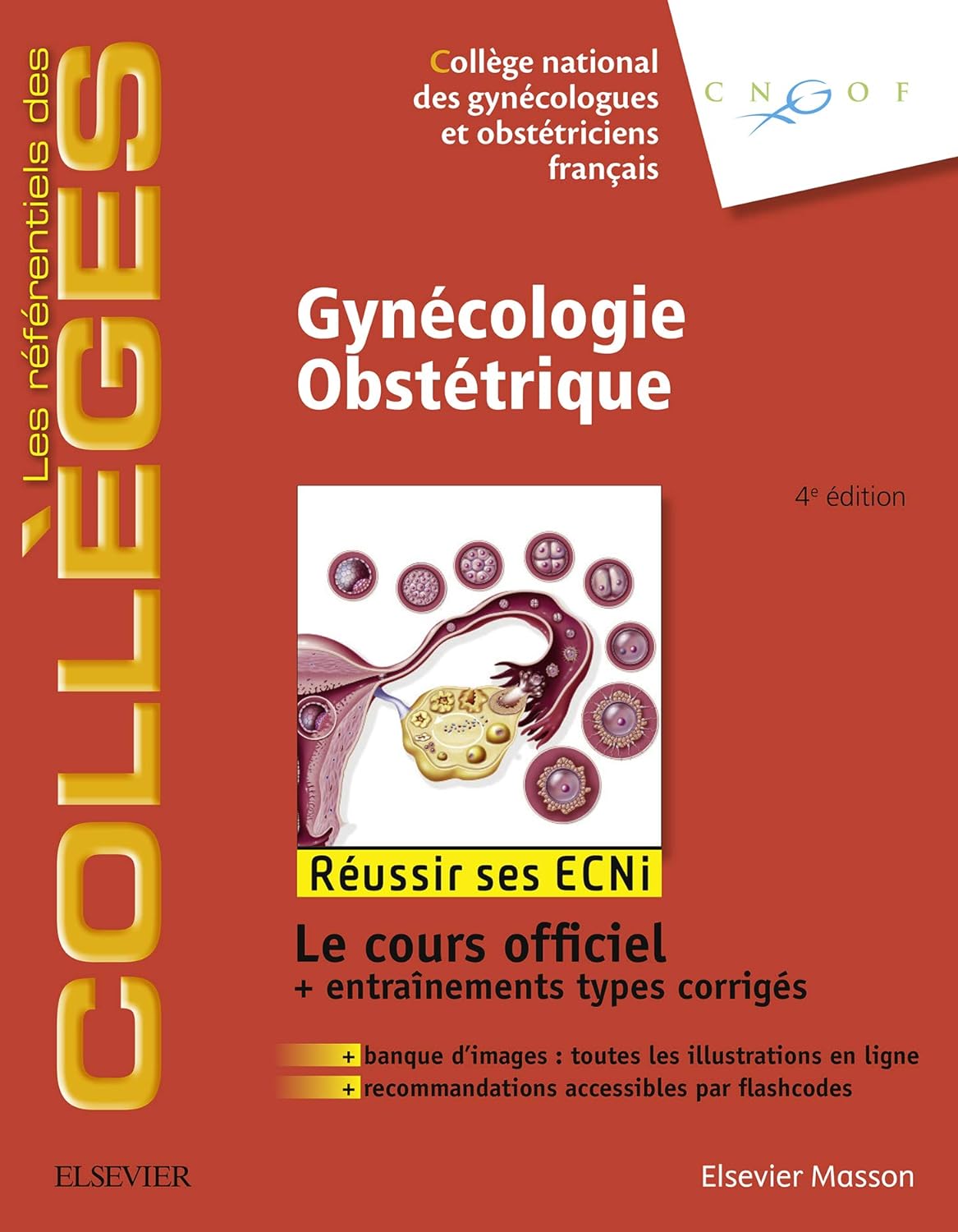 Gynecologie Obstetrique 4edition by  Coll＆egrave;ge National des Gyn＆eacute;cologues et Obst＆eacute;triciens Fran＆ccedil;ais