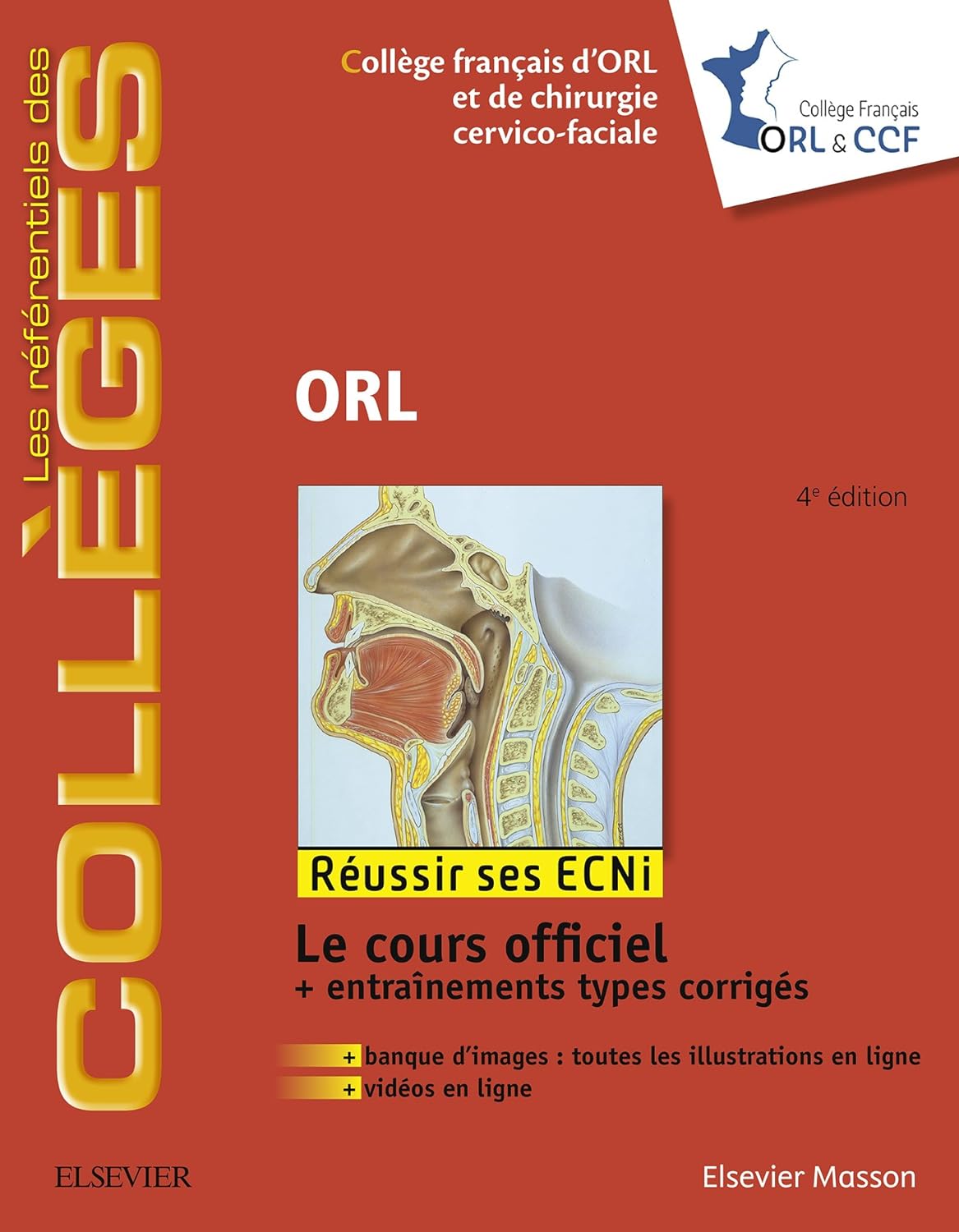 ORL 4edition by  Coll＆egrave;ge Fran＆ccedil;ais d＆＃39;ORL et de Chirurgie Cervico-Faciale , Carole FUMAT 