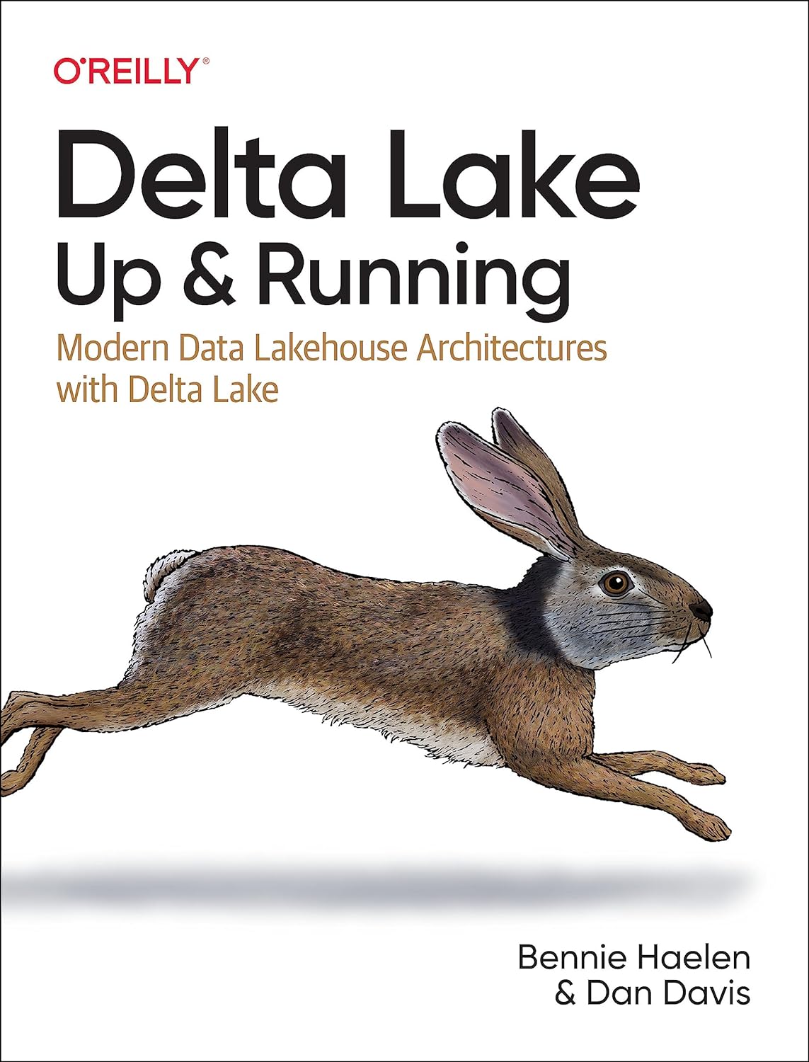 (EBook PDF)Delta Lake: Up and Running: Modern Data Lakehouse Architectures with Delta Lake by Bennie Haelen, Dan Davis