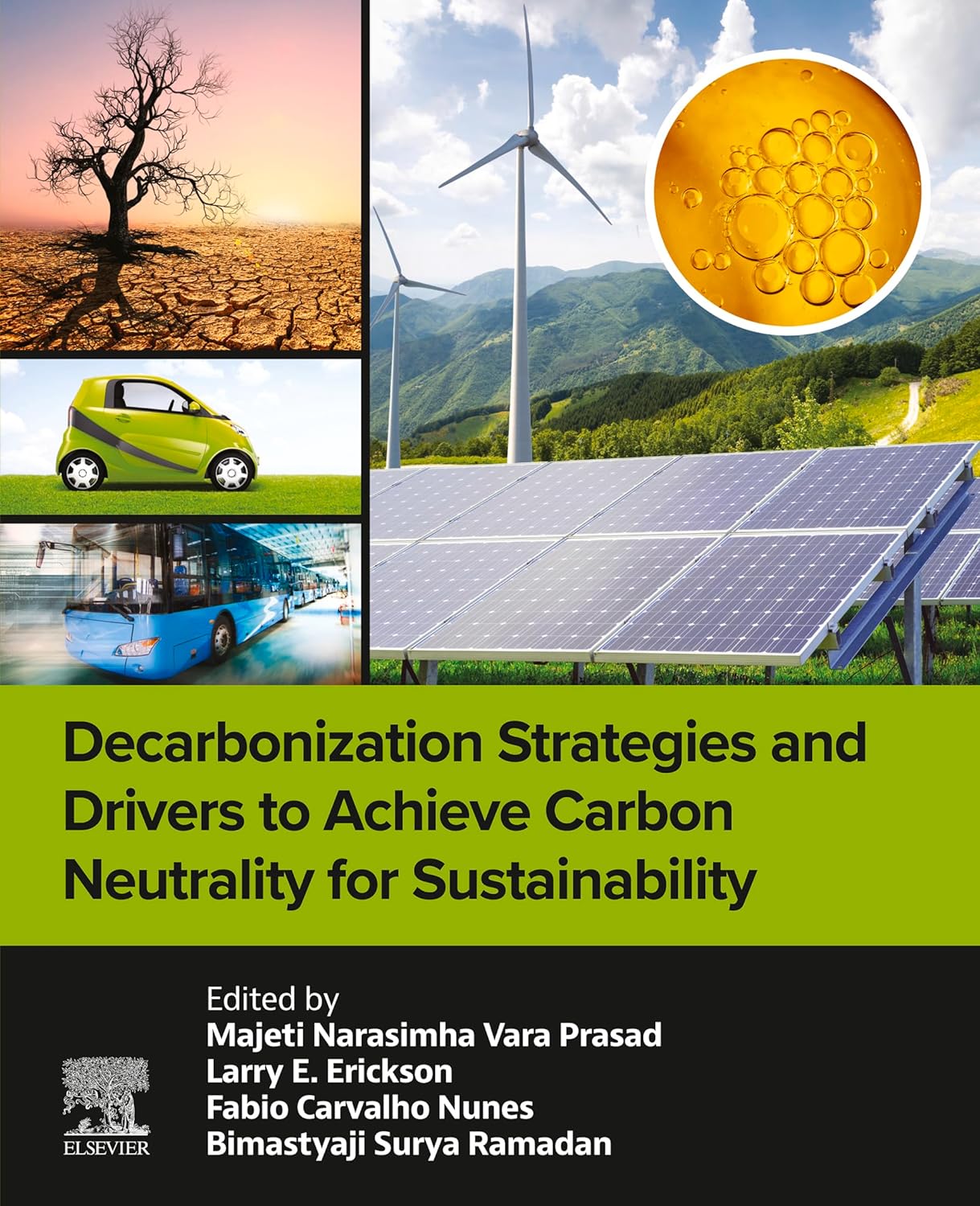 (EBook PDF)Decarbonization Strategies and Drivers to Achieve Carbon Neutrality for Sustainability 1st Edition by Majeti Narasimha Vara Prasad, Larry Erickson, Fabio Carvalho Nunes, ＆amp; 1 more