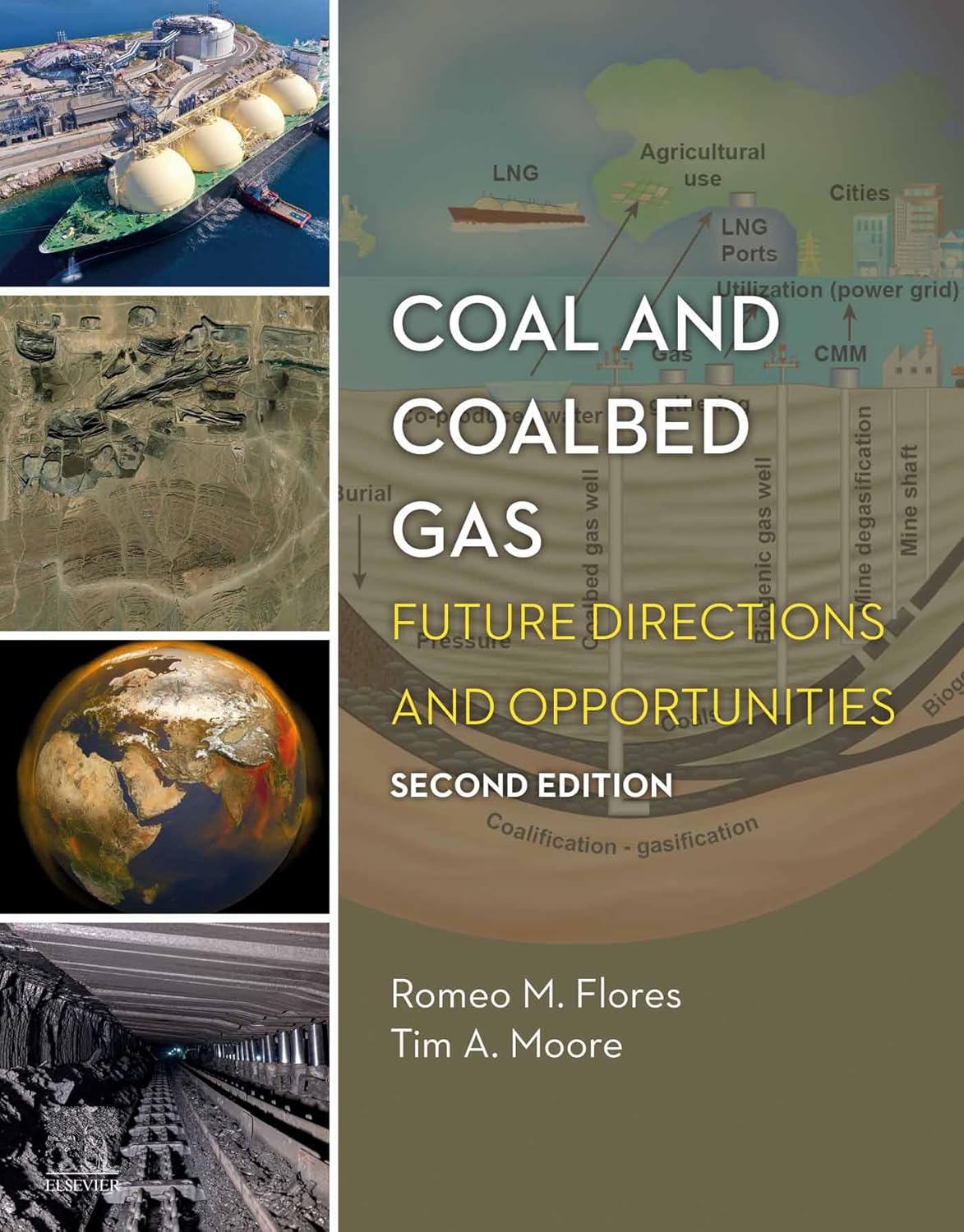 (EBook PDF)Coal and Coalbed Gas Future Directions and Opportunities 2nd Edition by Romeo M. Flores, Tim A. Moore 