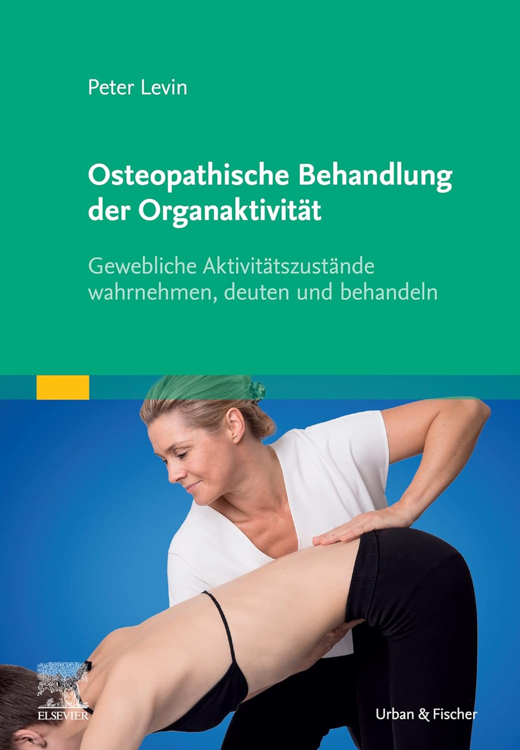 (EBook PDF)Osteopathische Behandlung der Organaktivit＆auml;t: Gewebliche Aktivit＆auml;tszust＆auml;nde wahrnehmen, deuten und behandeln (German Edition) by Peter Levin