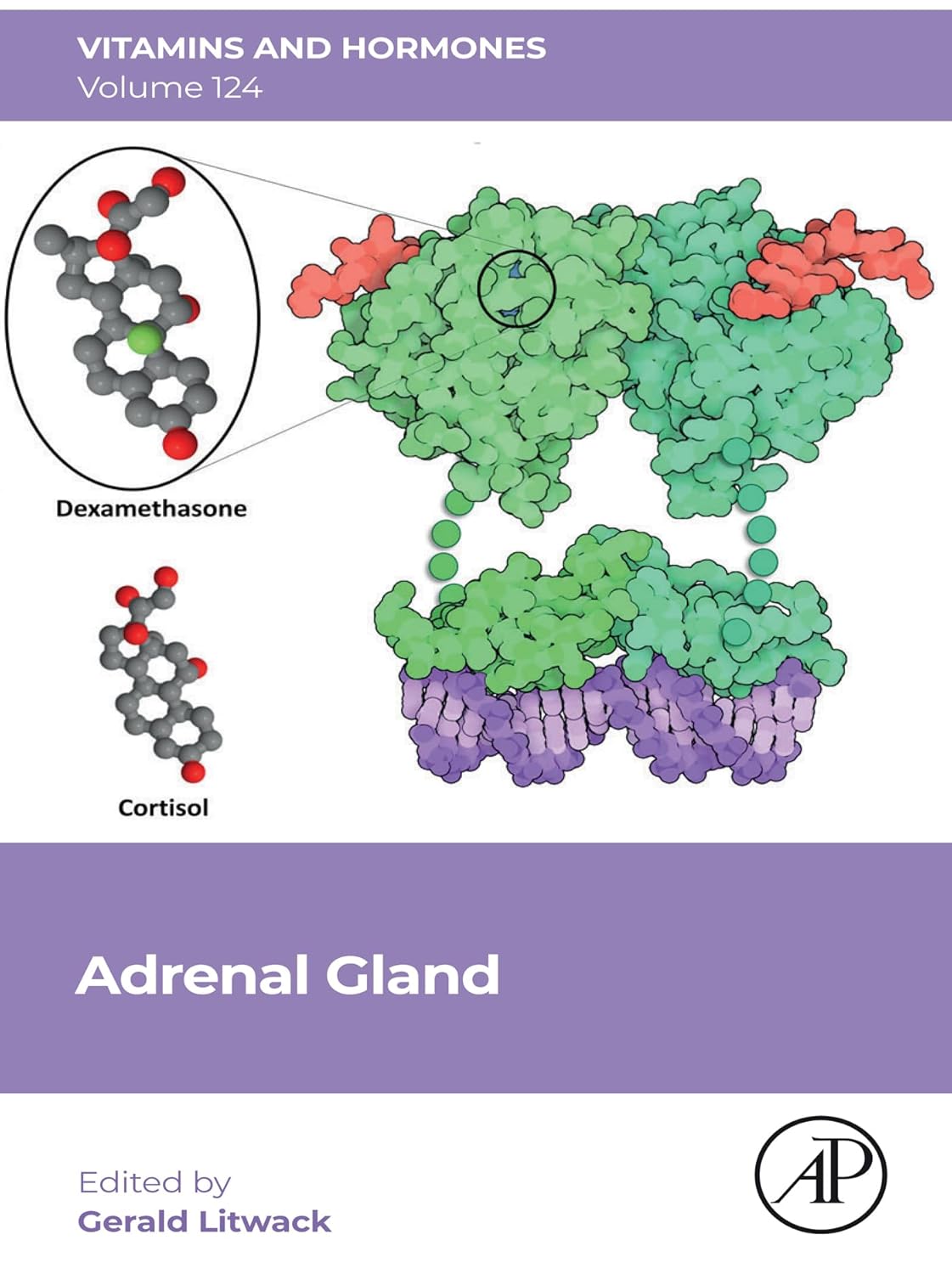 (EBook PDF)Adrenal Gland (Volume 124) (Vitamins and Hormones, Volume 124) by Gerald Litwack