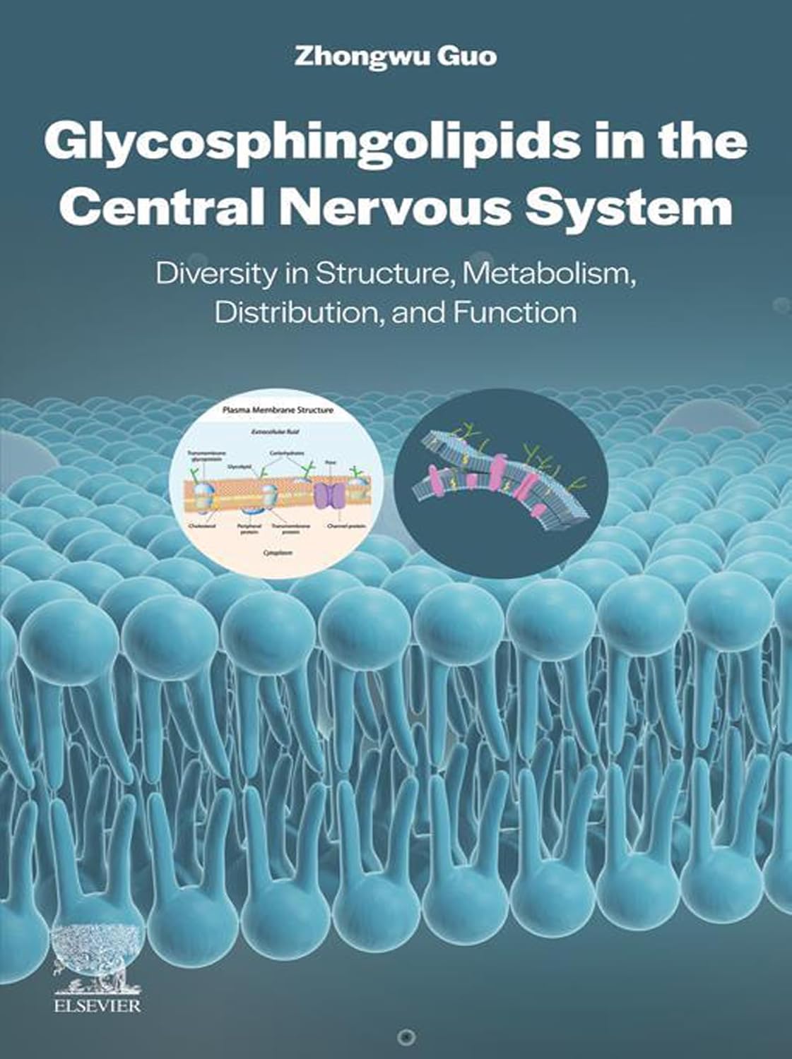 (EBook PDF)Glycosphingolipids in the Central Nervous System Diversity in Structure, Metabolism, Distribution, and Function 1st Edition by Zhongwu Guo