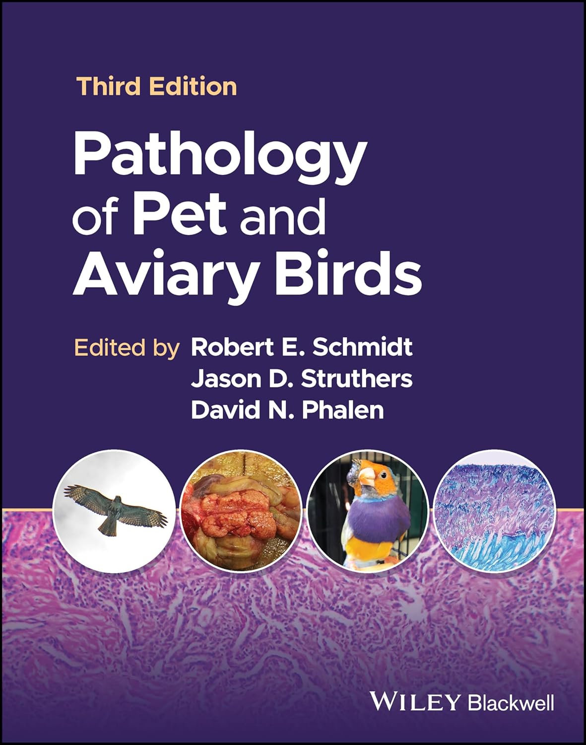 (EBook PDF)Pathology of Pet and Aviary Birds by Robert E. Schmidt, Jason D. Struthers, David N. Phalen