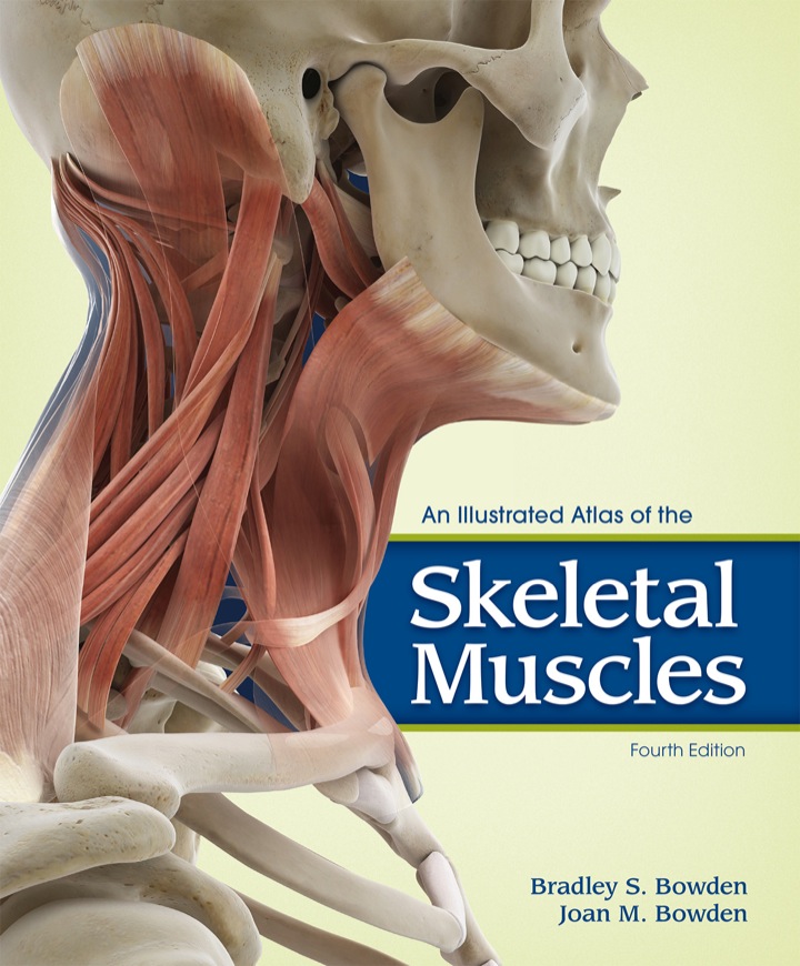 An Illustrated Atlas of the Skeletal Muscles 4th edition by  Bradley Bowden