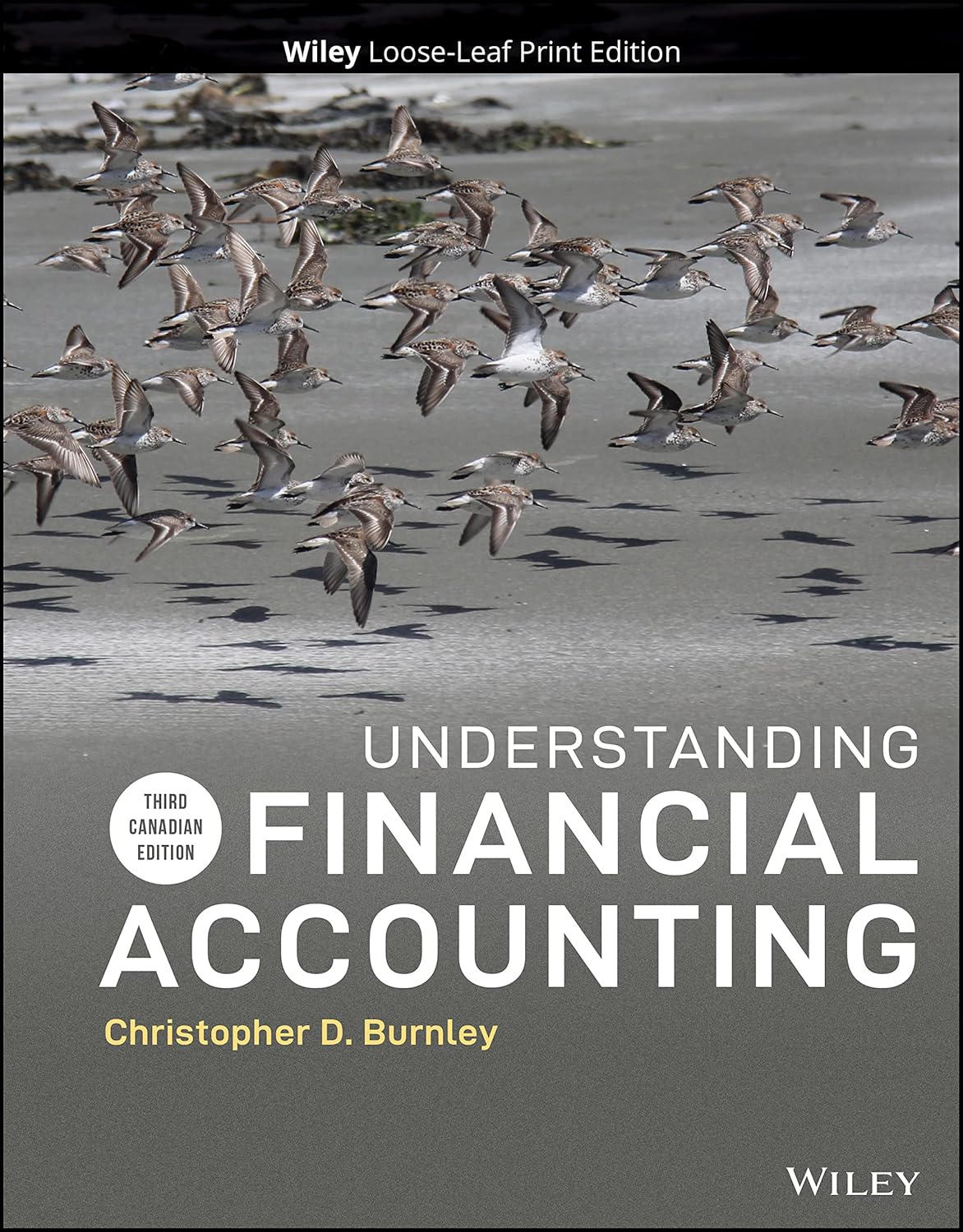 Solution manual for Understanding Financial Accounting 3rd Canadian Edition by Christopher D. Burnley