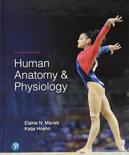 (eBook PDF)Human Anatomy and Physiology, 11th Edition by  Elaine Marieb , Katja Hoehn