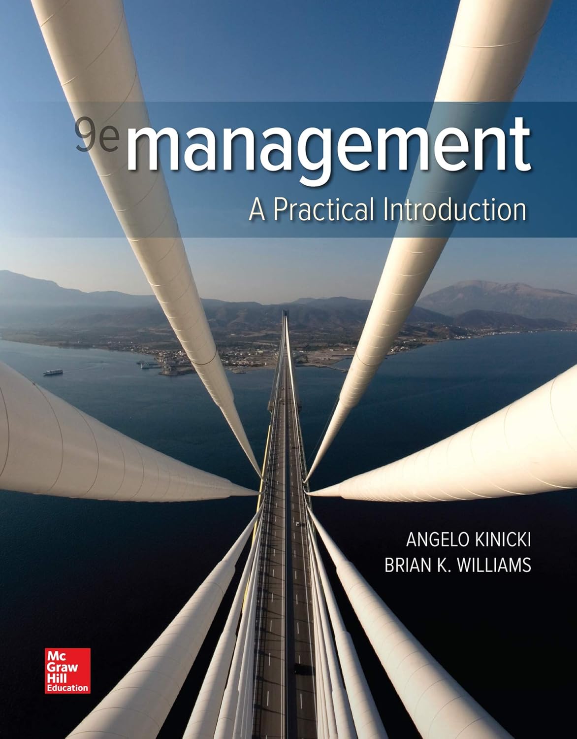 Test Bank for  Management A Practical Introduction 9th Edition by Angelo Kinicki , Brian K. Williams 